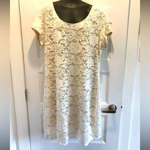 Belle robe chic de dentelle